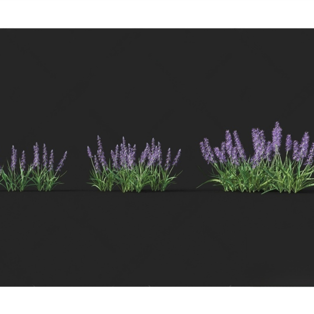 花草3D模型